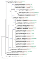 https://www.journalssystem.com/amy/f/fulltexts/159744/Figure_3_min.jpg