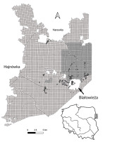 https://www.journalssystem.com/amy/f/fulltexts/159746/Figure_1_min.jpg