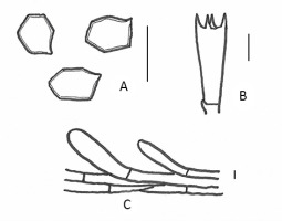 https://www.journalssystem.com/amy/f/fulltexts/159753/Figure_12_min.jpg