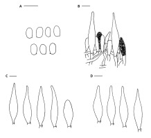 https://www.journalssystem.com/amy/f/fulltexts/159753/Figure_13_min.jpg