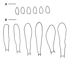 https://www.journalssystem.com/amy/f/fulltexts/159753/Figure_18_min.jpg