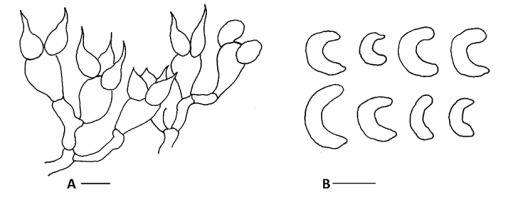 https://www.journalssystem.com/amy/f/fulltexts/159753/Figure_22_min.jpg