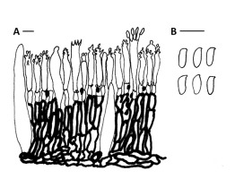 https://www.journalssystem.com/amy/f/fulltexts/159753/Figure_3_min.jpg