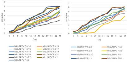 https://www.journalssystem.com/amy/f/fulltexts/159767/Figure_10_min.jpg