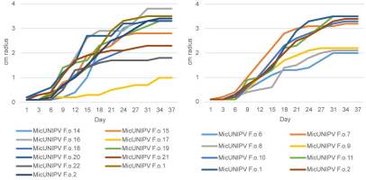 https://www.journalssystem.com/amy/f/fulltexts/159767/Figure_11_min.jpg