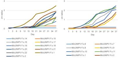 https://www.journalssystem.com/amy/f/fulltexts/159767/Figure_12_min.jpg