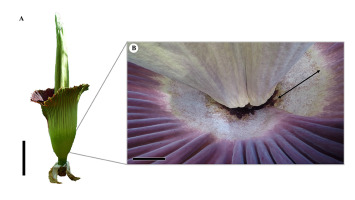 https://www.journalssystem.com/amy/f/fulltexts/159769/Figure_1_min.jpg