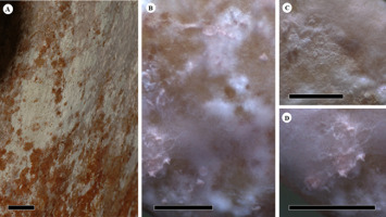 https://www.journalssystem.com/amy/f/fulltexts/159769/Figure_2_min.jpg