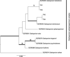 https://www.journalssystem.com/amy/f/fulltexts/159769/Figure_3_min.jpg