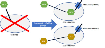 https://www.journalssystem.com/amy/f/fulltexts/159771/Figure_1_min.jpg