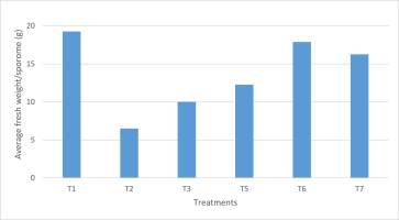 https://www.journalssystem.com/amy/f/fulltexts/159774/Figure_6_min.jpg