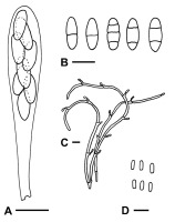 https://www.journalssystem.com/amy/f/fulltexts/159778/Figure_1_min.jpg