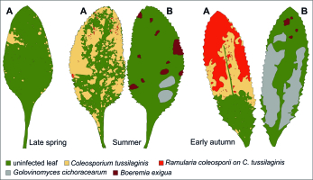 https://www.journalssystem.com/amy/f/fulltexts/171842/Figure_7_min.jpg