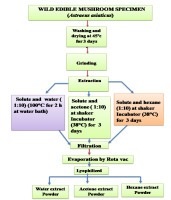 https://www.journalssystem.com/amy/f/fulltexts/171903/Figure_1_min.jpg