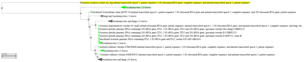 https://www.journalssystem.com/amy/f/fulltexts/171903/Figure_6_min.jpg