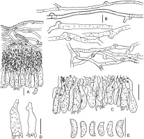 https://www.journalssystem.com/amy/f/fulltexts/171905/Figure_4_min.jpg