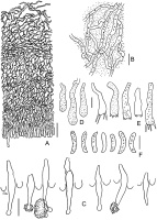 https://www.journalssystem.com/amy/f/fulltexts/171905/Figure_7_min.jpg