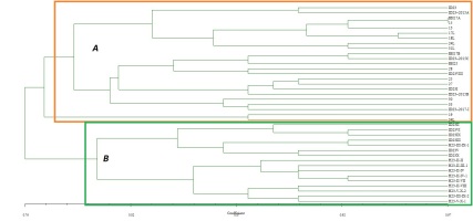 https://www.journalssystem.com/amy/f/fulltexts/171906/Figure_2_min.jpg