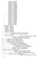 https://www.journalssystem.com/amy/f/fulltexts/174570/Figure_6_min.jpg