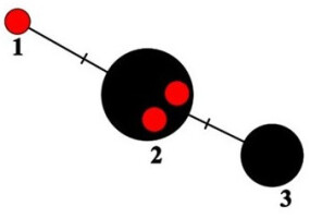 https://www.journalssystem.com/amy/f/fulltexts/175356/Figure_2_min.jpg