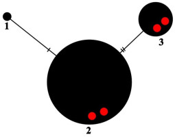 https://www.journalssystem.com/amy/f/fulltexts/175356/Figure_5_min.jpg