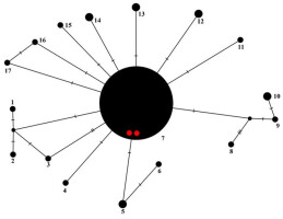 https://www.journalssystem.com/amy/f/fulltexts/175356/Figure_7_min.jpg