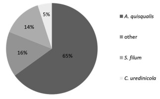 https://www.journalssystem.com/amy/f/fulltexts/176036/Figure_2_min.jpg