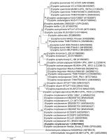 https://www.journalssystem.com/amy/f/fulltexts/177131/Figure_3_min.jpg