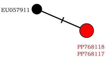 https://www.journalssystem.com/amy/f/fulltexts/192461/Figure_2_min.jpg