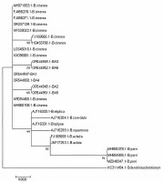 https://www.journalssystem.com/amy/f/fulltexts/193800/Figure_3_min.jpg