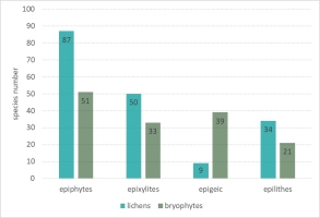 https://www.journalssystem.com/amy/f/fulltexts/193966/Figure_4_min.jpg