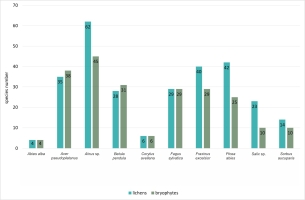 https://www.journalssystem.com/amy/f/fulltexts/193966/Figure_5_min.jpg