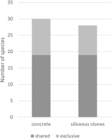 Bar chart. Comparison of the number of epilithic lichen species found concrete on (30 taxa) and on siliceous stones (28). Both substrates have 19 shared species.
