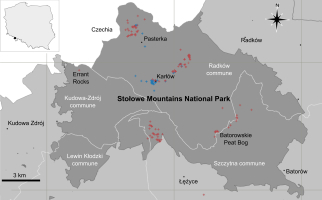 The figure contains: in the upper left corner the location of Stołowe Mountains National Park on a contour map of Poland - it is located on the south-western border of the country - and sampling sites in Stołowe Mountains National Park. The map includes the area of the National Park filled with dark grey. The area occupies most of the map and lies on the border of Poland - Czechia is located on the north and filled with white colour. The map also includes major villages marked with black dots (Kudowa Zdr&oacute;j, Łężyce, Bator&oacute;w, Radk&oacute;w, Pasterka and Karł&oacute;w) and two landmarks within the Park (Errant Rocks and Batorowskie Peat Bog). The area of the Park lies in four municipalities depicted with white lines (Kudowa-Zdr&oacute;j commune, Radk&oacute;w commune, Szczytna commune and Lewin Kłodzki Commune). The sampling sites within the Park are colour coded - red crosses represent specimen sampling sites and blue crosses observation registration sites. The sampling sites are grouped in four major sets on the map. One set lies in the northern side of the park, near the Country border and Pasterka village. It includes both observations locations and specimen sampling localities. Second set is shown in the middle of the Park, around Karł&oacute;w village. This one also includes both observations and specimen collection sites. The third set is located in the south of the Park in Szczytna commune and consists only of specimen collection sites just as the fourth set, which is located in the south-eastern part of the Park, near Batorowskie Peat Bog. The map also shows two solitary specimen sampling sites. One of them is located in the Errant Rocks area. The other one is located outside of the Park in Szczytna commune.