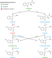 https://www.journalssystem.com/asbp/f/fulltexts/159504/Figure_1_min.jpg