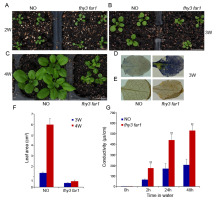 https://www.journalssystem.com/asbp/f/fulltexts/159507/Figure_1_min.jpg