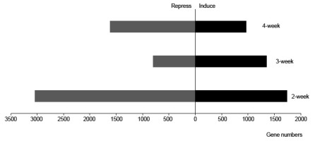 https://www.journalssystem.com/asbp/f/fulltexts/159507/Figure_2_min.jpg