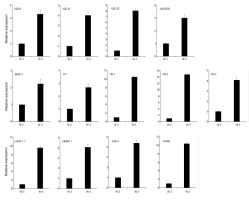 https://www.journalssystem.com/asbp/f/fulltexts/159507/Figure_4_min.jpg