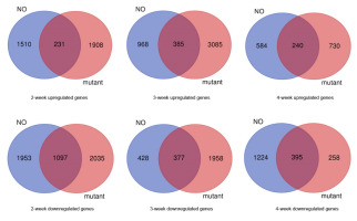 https://www.journalssystem.com/asbp/f/fulltexts/159507/Figure_5_min.jpg
