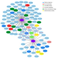 https://www.journalssystem.com/asbp/f/fulltexts/159507/Figure_7_min.jpg