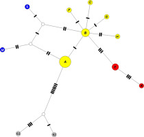 https://www.journalssystem.com/asbp/f/fulltexts/159509/Figure_3_min.jpg