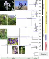 https://www.journalssystem.com/asbp/f/fulltexts/159509/Figure_4_min.jpg