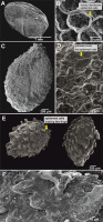 https://www.journalssystem.com/asbp/f/fulltexts/159512/Figure_1_min.jpg