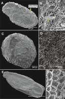 https://www.journalssystem.com/asbp/f/fulltexts/159512/Figure_2_min.jpg