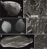 https://www.journalssystem.com/asbp/f/fulltexts/159512/Figure_3_min.jpg