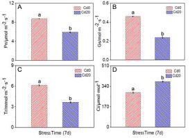 https://www.journalssystem.com/asbp/f/fulltexts/159513/Figure_1_min.jpg