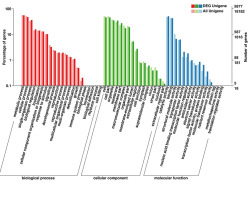 https://www.journalssystem.com/asbp/f/fulltexts/159513/Figure_4_min.jpg