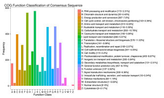https://www.journalssystem.com/asbp/f/fulltexts/159513/Figure_5_min.jpg