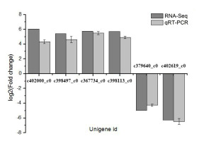 https://www.journalssystem.com/asbp/f/fulltexts/159513/Figure_7_min.jpg