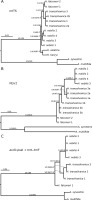 https://www.journalssystem.com/asbp/f/fulltexts/159515/Figure_1_min.jpg